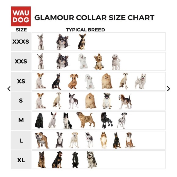 WAUDOG Glamour Leather Dog Collar Purple Medium Smart QR Tag Durable Quality New - Picture 11 of 15